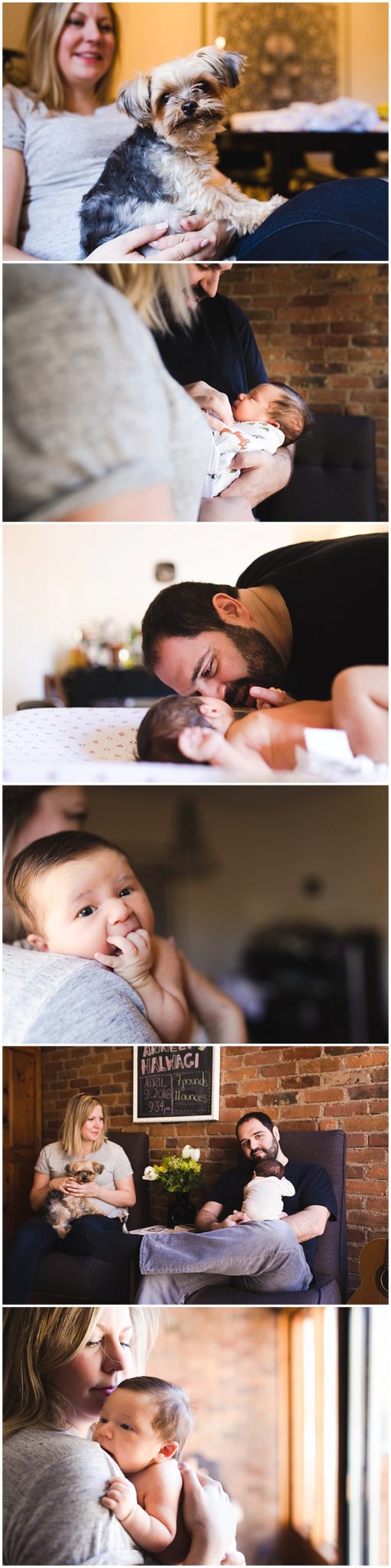 Montreal Family Photographer