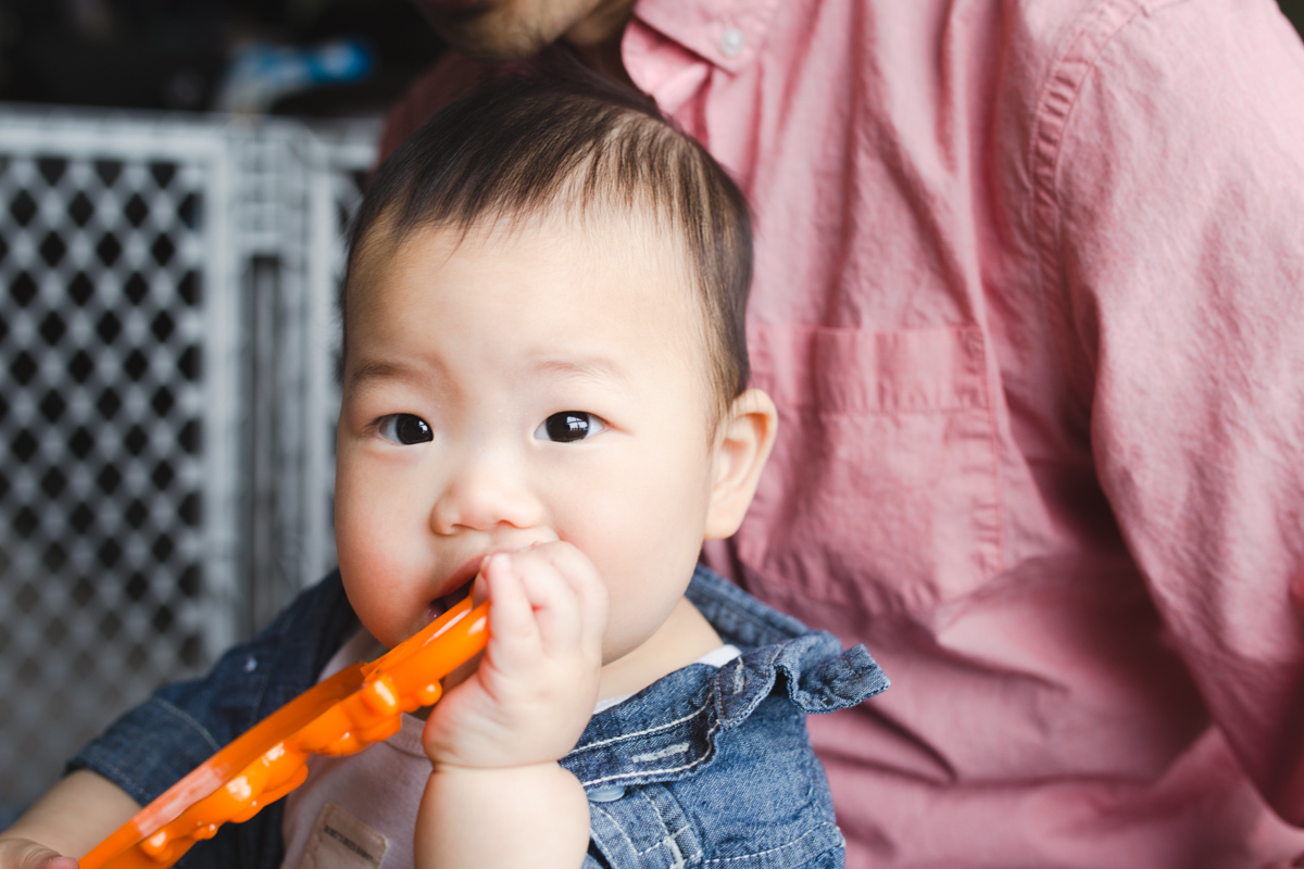 Montreal Family Photographer-1