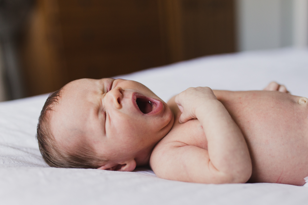 Montreal Newborn Photographer