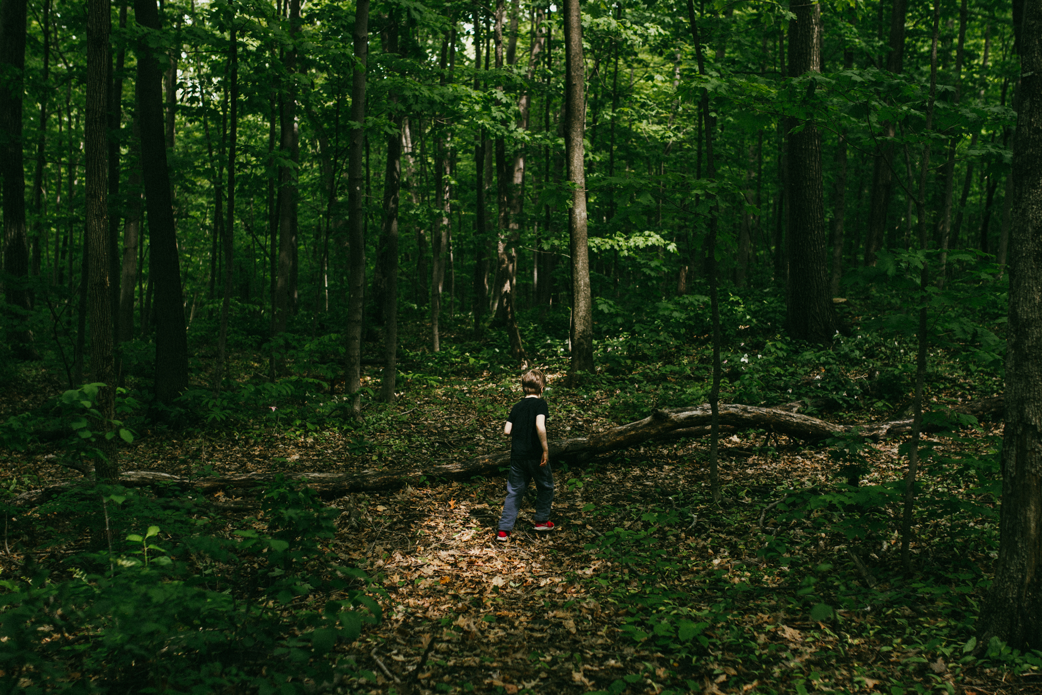 Montreal Outdoor Family Photography