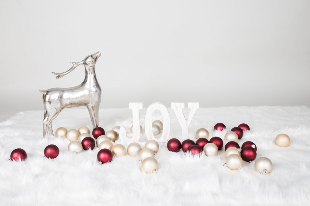 Holiday Mini Sessions - Props