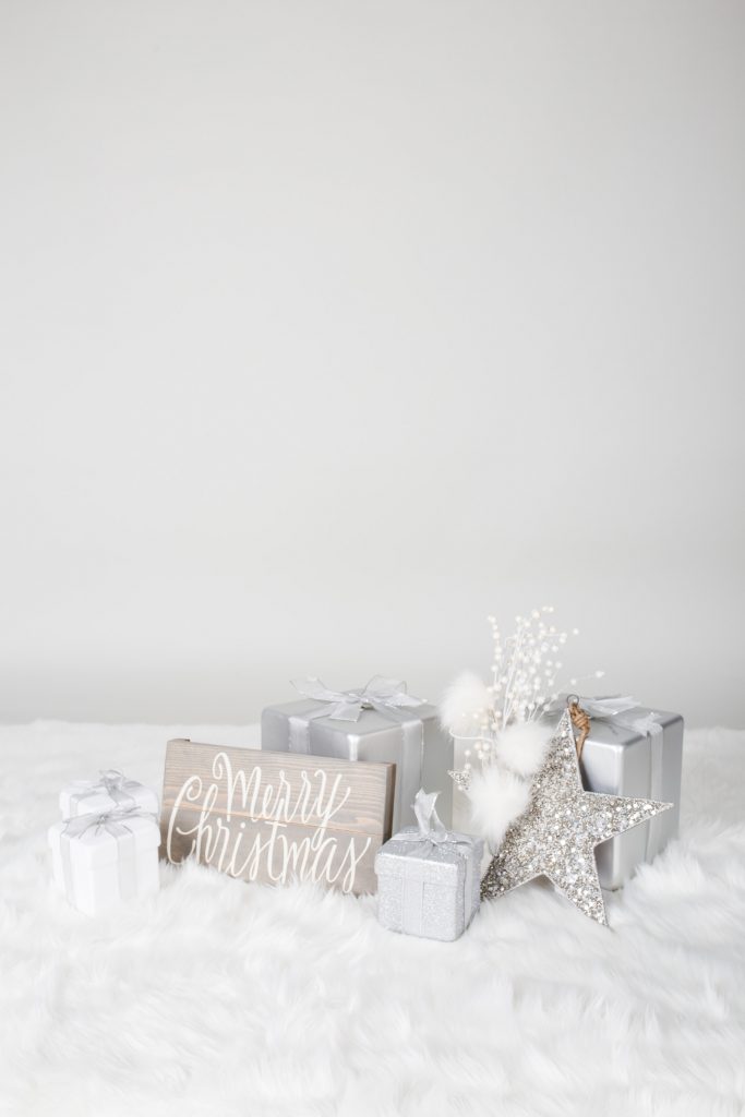 Holiday Mini Sessions - Props